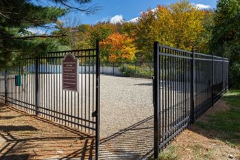 Dog park